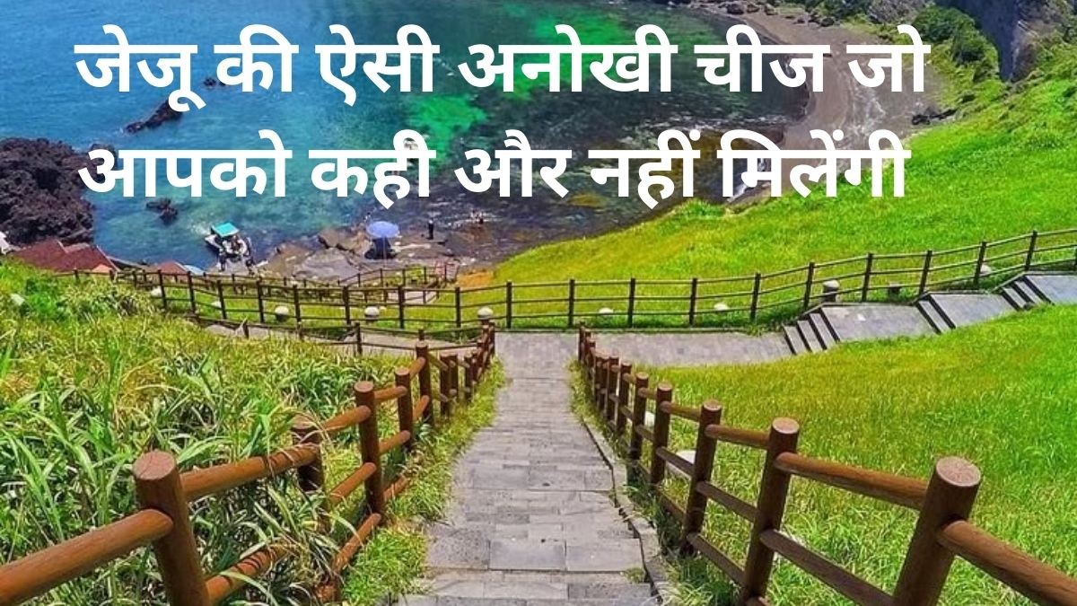 जेजू ट्रिप